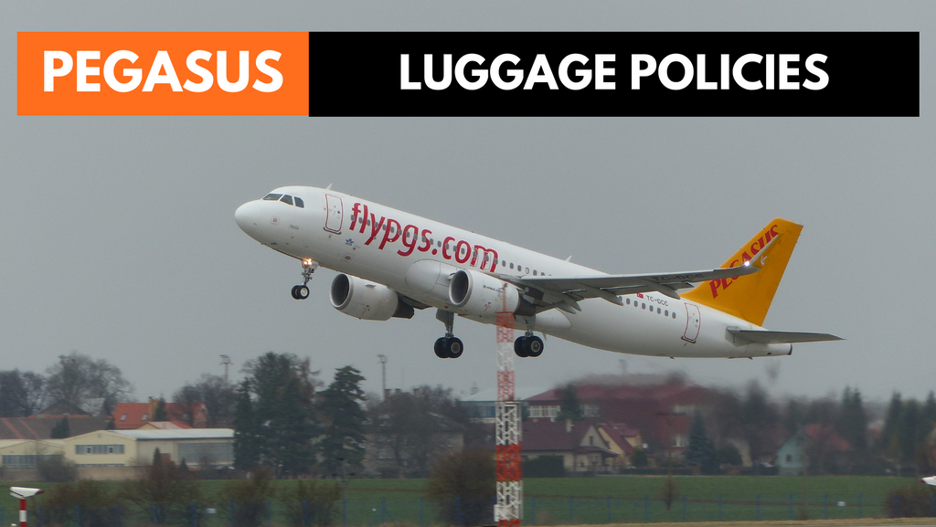 In Cabin Pegasus Airlines Pets Pegasus Airlines Baggage Allowance