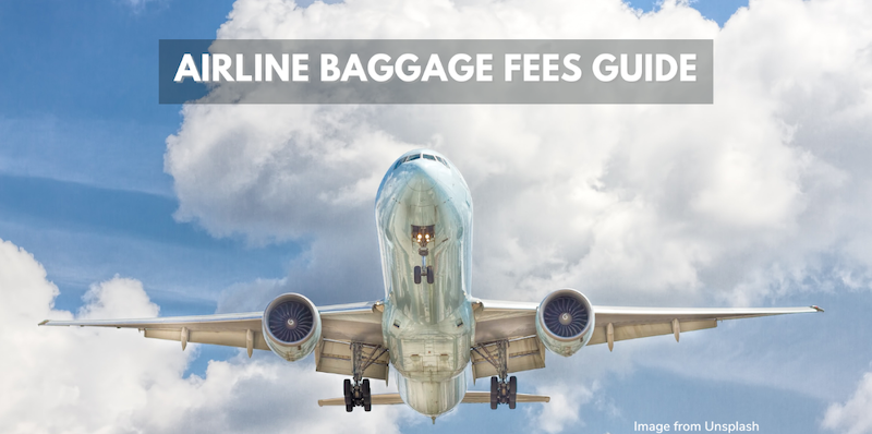 Airline Baggage Fee Chart