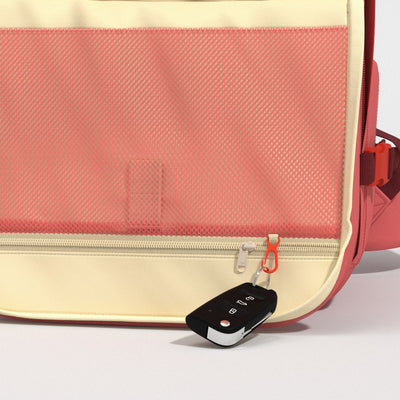 Classic Pro Backpack 42L Peach Valley
