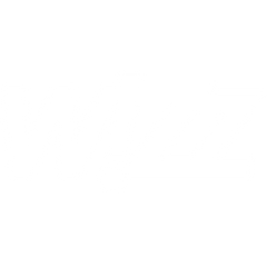 Wizzair logo
